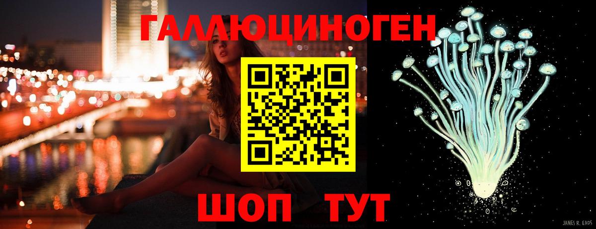 Гудермес  Псилоцибиновые грибы мухоморы  Вход с VPN  Псилоцибиновые грибы MAGIC MUSHROOMS 