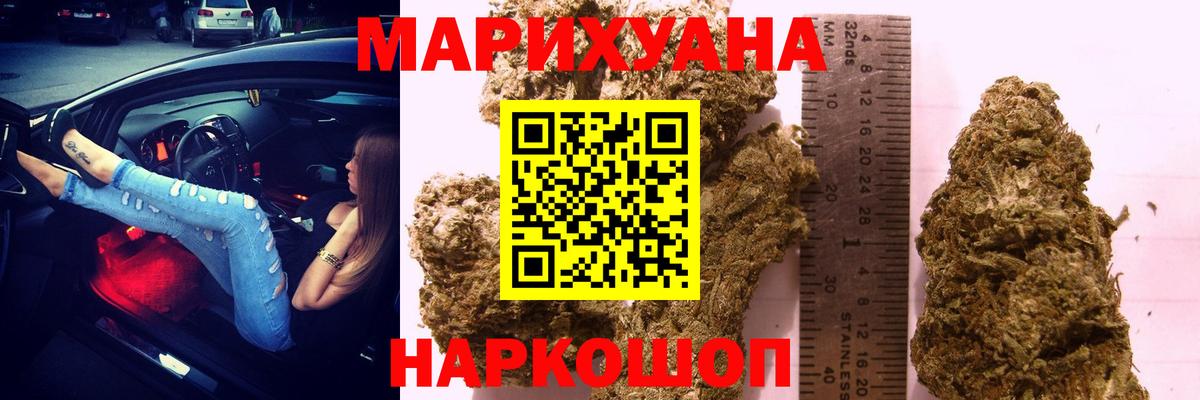 Бошки марихуана сатива  Вход с VPN  Гудермес  Канабис семена 