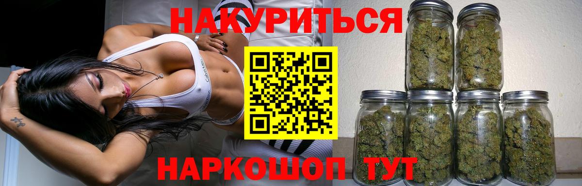 Каннабис сатива Гудермес